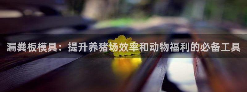 ag太阳集团：漏粪板模具：提升养猪场效率和动物福利的必备工具
