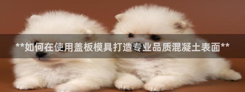 太阳gg注册/登录：**如何在使用盖板模具打造专业品质混凝土表面**