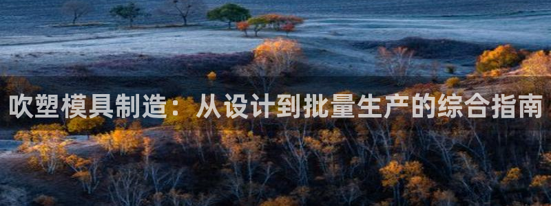 太阳商城贵宾会2017cm：吹塑模具制造：从设计到批量生产的综合指南