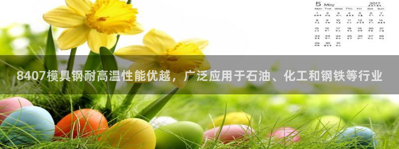 太阳成集团tyc234cc[主页]：8407模具钢耐高温性能优越，广泛应用于石油、化工和钢铁等行业
