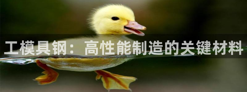 太阳成集团是干嘛的：工模具钢：高性能制造的关键材料