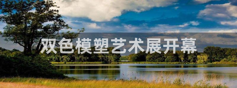 太阳游戏成语：双色模塑艺术展开幕
