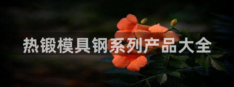 太阳集团官网8722：热锻模具钢系列产品大全