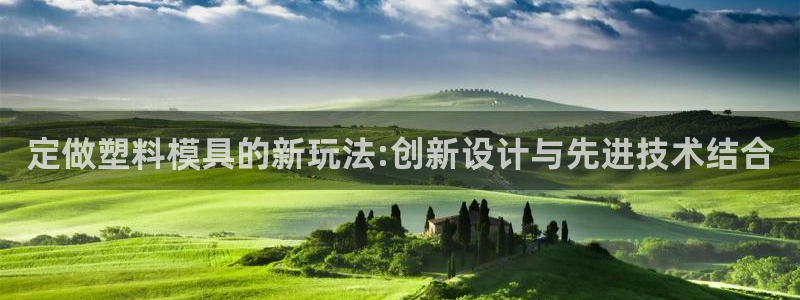 太阳gg在线测速登录：定做塑料模具的新玩法:创新设计与先进技术结合