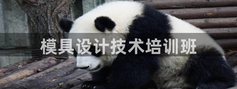 太阳gg注册地址：模具设计技术培训班