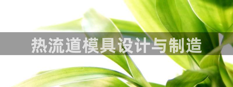 太阳集团官网导航首页：热流道模具设计与制造