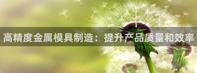 太阳集团在国内三个分公司：高精度金属模具制造：提升产品质量和效率