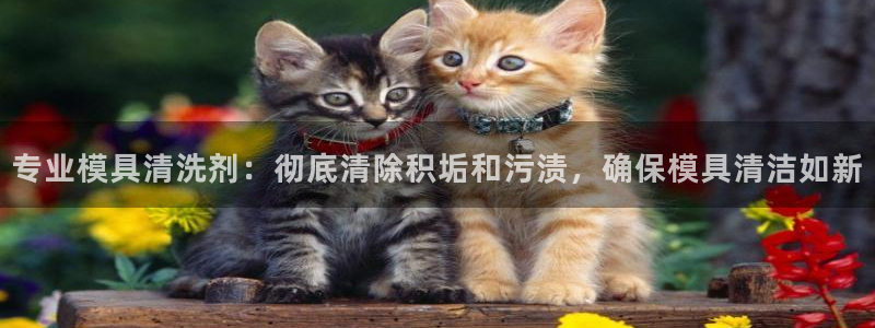 太阳app怎么下载：专业模具清洗剂：彻底清除积垢和污渍，确保模具清洁如新