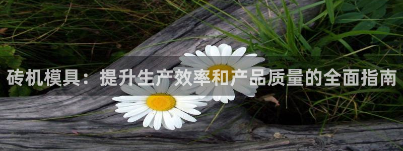 太阳集团城：砖机模具：提升生产效率和产品质量的全面指南