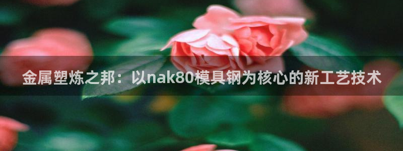 15vip太阳集团登录：金属塑炼之邦：以nak80模具钢为核心的新工艺技术