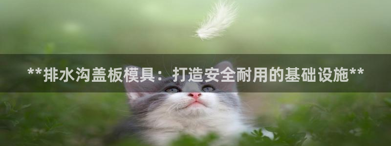 太阳成集团tyc7111cc电影：**排水沟盖板模具：打造安全耐用的基础设施**