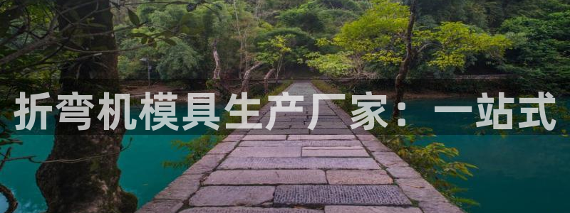 太阳集团手机app：折弯机模具生产厂家：一站式