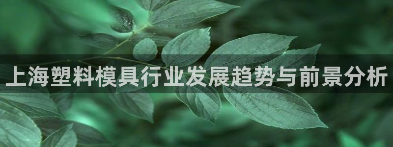 太阳成集团tyc122ccvlp：上海塑料模具行业发展趋势与前景分析