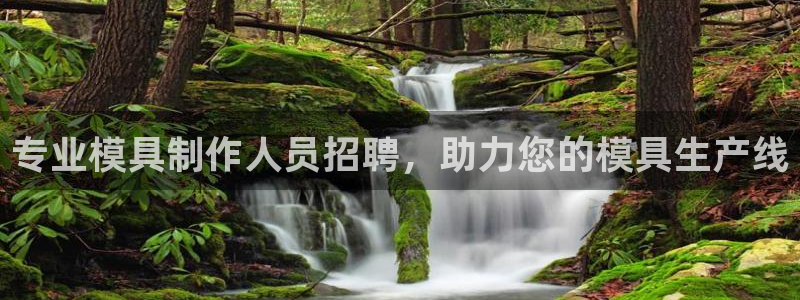 太阳集团2018登录网址查询：专业模具制作人员招聘，助力您的模具生产线