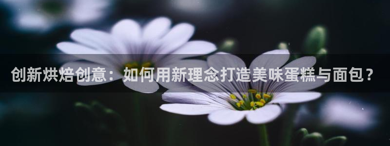 太阳影业投资：创新烘焙创意：如何用新理念打造美味蛋糕与面包？