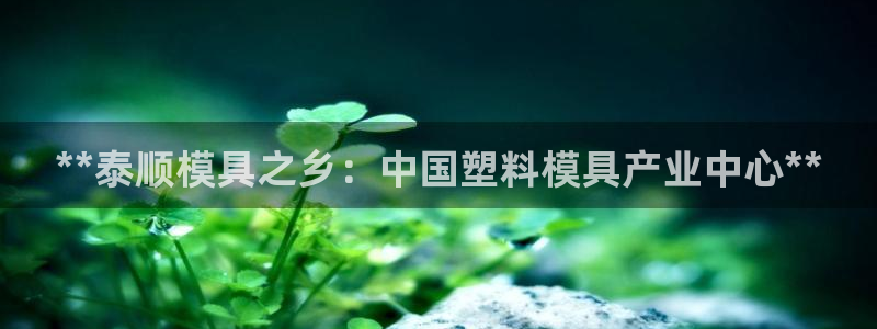太阳集团网站多少：**泰顺模具之乡：中国塑料模具产业中心**