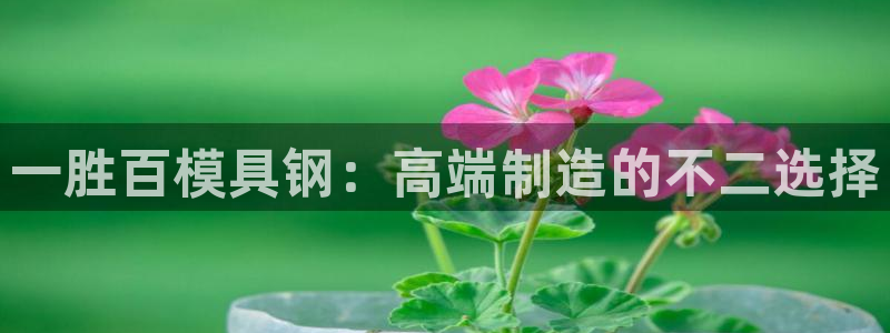 2138cn太阳集团古天乐·网上娱乐：一胜百模具钢：高端制造的不二选择