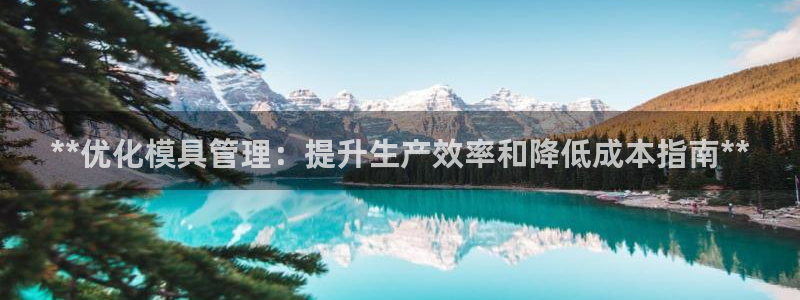 太阳成集团tyc234cc主页网址：**优化模具管理：提升生产效率和降低成本指南**