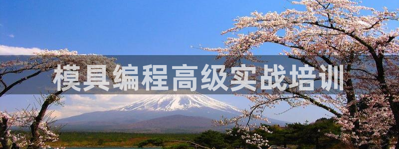 太阳集团官网导航：模具编程高级实战培训