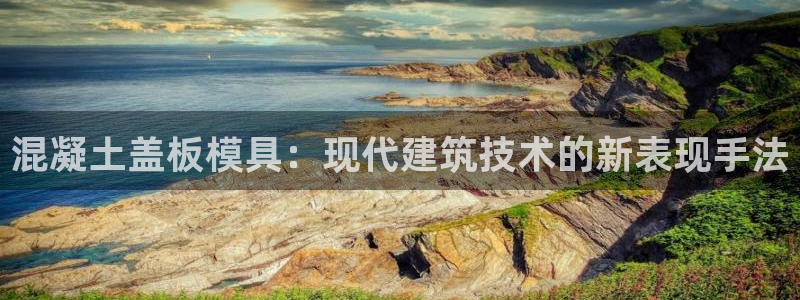 太阳gg官方网站：混凝土盖板模具：现代建筑技术的新表现手法