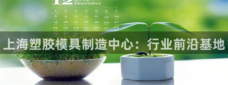 太阳集团总裁：上海塑胶模具制造中心：行业前沿基地