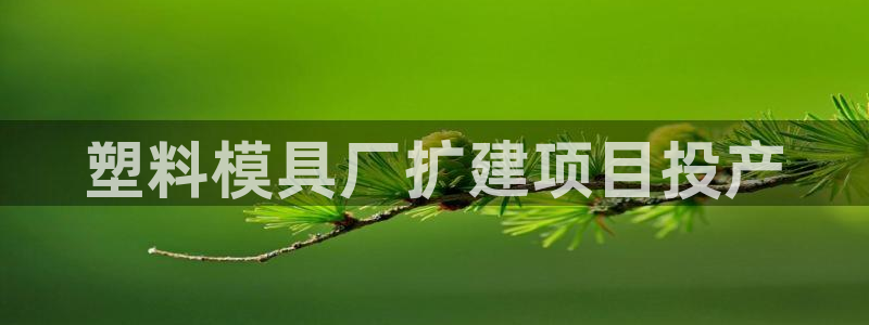 太阳集团1088vip：塑料模具厂扩建项目投产