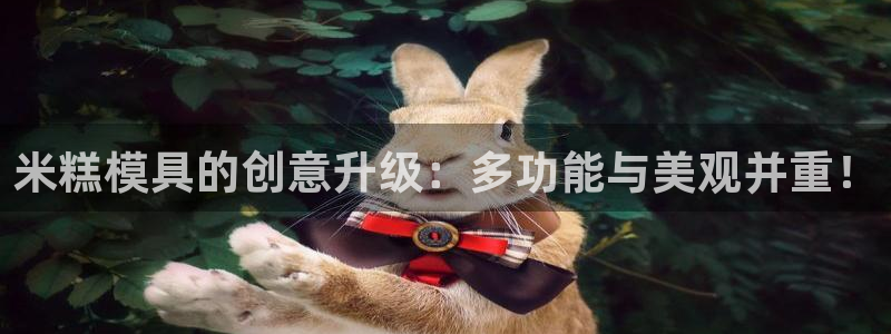 8827太阳集团：米糕模具的创意升级：多功能与美观并重！