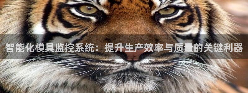 太阳成集团老板是谁：智能化模具监控系统：提升生产效率与质量的关键利器