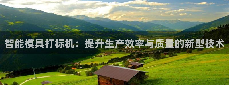 太阳集团城官方app：智能模具打标机：提升生产效率与质量的新