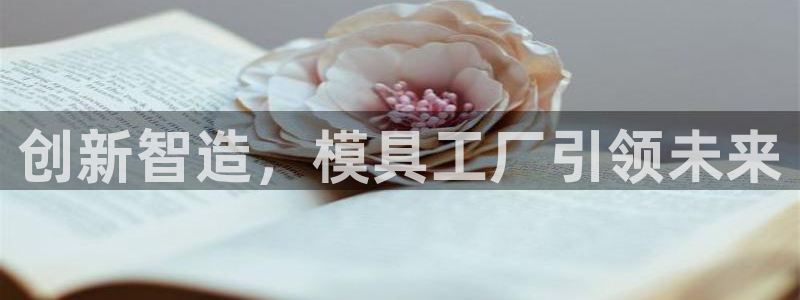 太阳sun网站：创新智造，模具工厂引领未来