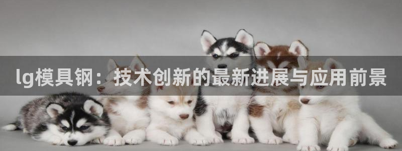 太阳集团的股价是多少：lg模具钢：技术创新的最新进展与应用前景