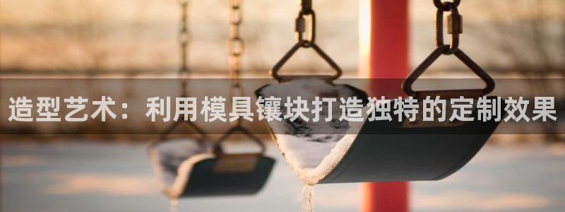 太阳2平台网址：造型艺术：利用模具镶块打造独特的定制效果