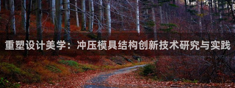 江苏太阳集团冷青松：重塑设计美学：冲压模具结构创新技术研究与实践