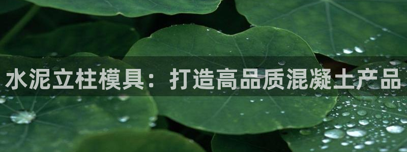 太阳诚集团有限公司是国企吗还是私企：水泥立柱模具：打造高品质混凝土产品