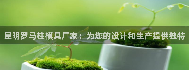 电子游戏太阳神官方网站：昆明罗马柱模具厂家：为您的设计和生产提供独特