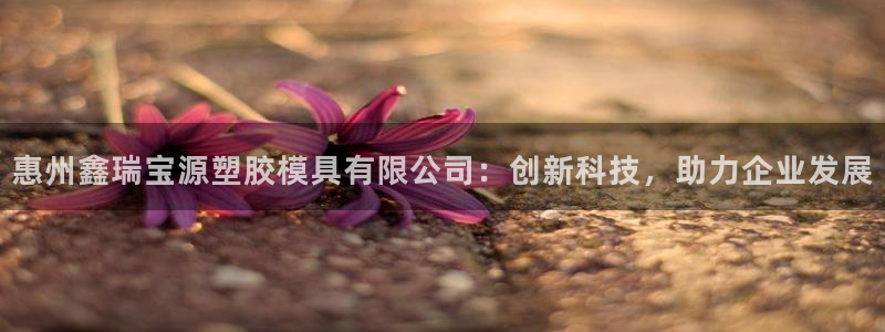 太阳集团城官方app下载：惠州鑫瑞宝源塑胶模具有限公司：创新科技，助力企业发展