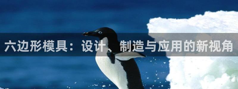 太阳1城集团网址：六边形模具：设计、制造与应用的新视角