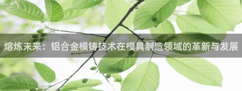 太阳成集团tyc122cc下载：熔炼未来：铝合金模铸技术在模具制造领域的革新与发展