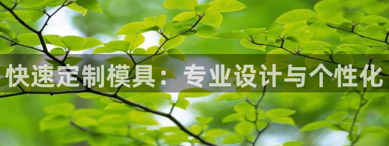 太阳集团手机app：快速定制模具：专业设计与个性化