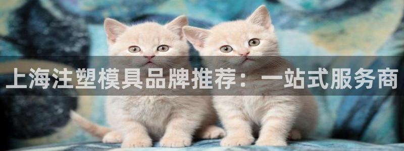 太阳集团古天乐代言：上海注塑模具品牌推荐：一站式服务商