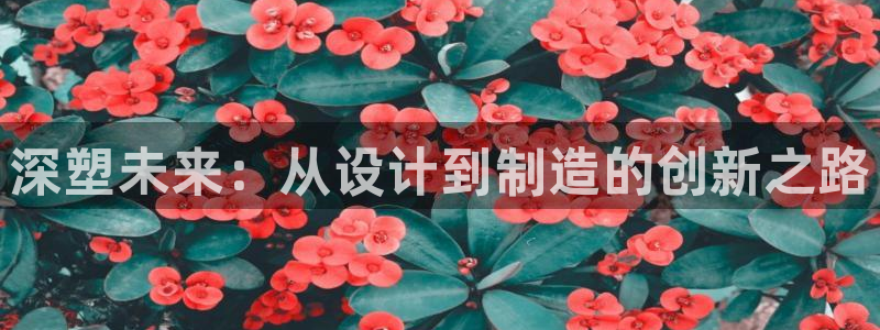 太阳成集团tyc33455cc平台：深塑未来：从设计到制造的创新之路