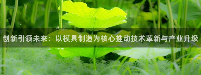 太阳集团网站2018：创新引领未来：以模具制造为核心推动技术革新与产业升级