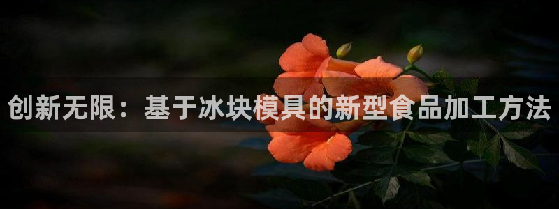 太阳集团城所有网址是多少：创新无限：基于冰块模具的新型食品加工方法