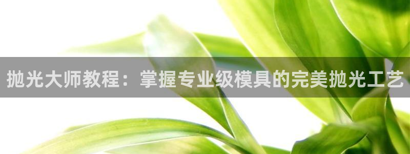 太阳诚集团有限公司是国企吗还是央企：抛光大师教程：掌握专业级模具的完美抛光工艺