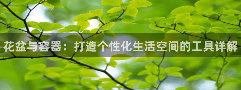 15vip太阳集团登录：花盆与容器：打造个性化生活空间的工具详解