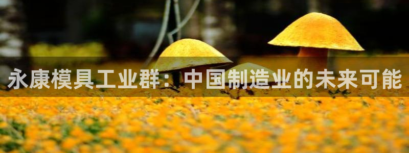 太阳集团tcy8722-主页|欢迎您：永康模具工业群：中国制造业的未来可能