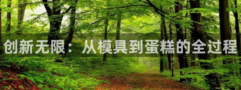 太阳2游戏娱乐官网：创新无限：从模具到蛋糕的全过程