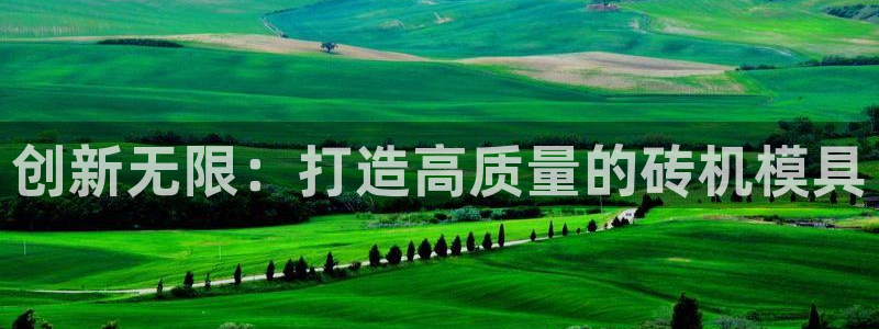 太阳集团网址8722：创新无限：打造高质量的砖机模具
