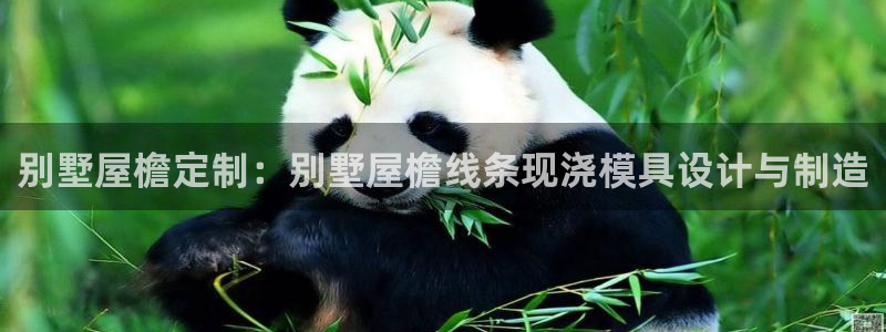 太阳集团城2018网站：别墅屋檐定制：别墅屋檐线条现浇模具设计与制造
