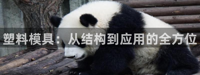 电子游戏太阳神官方网站：塑料模具：从结构到应用的全方位